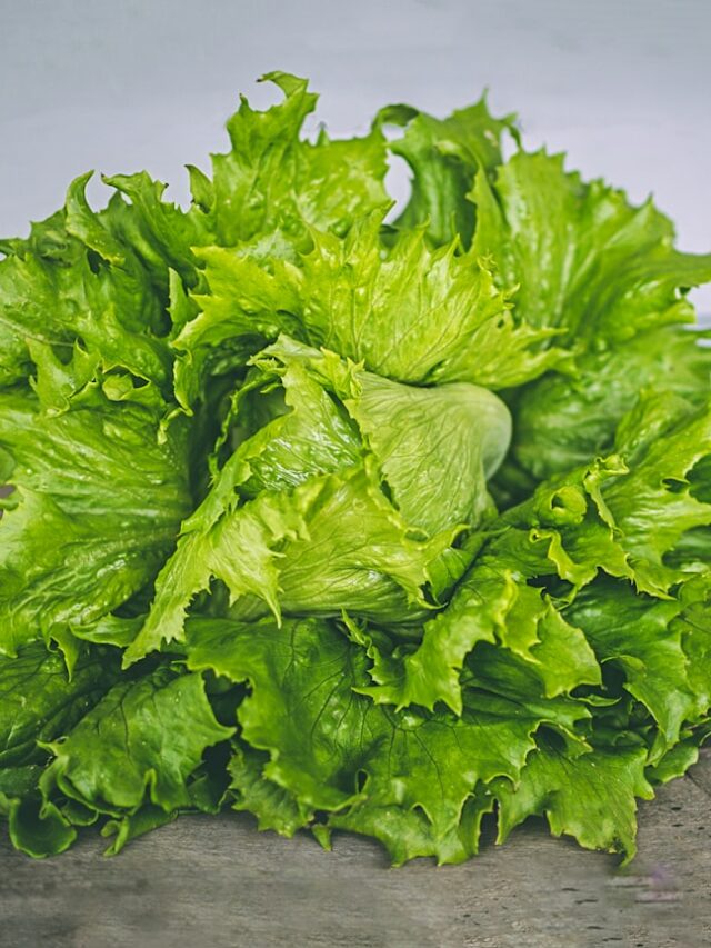 closeup photo of lettuce on gray surface