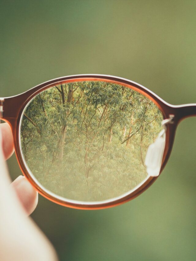 person holding brown eyeglasses with green trees background