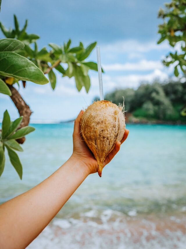 a hand holding a piece of food