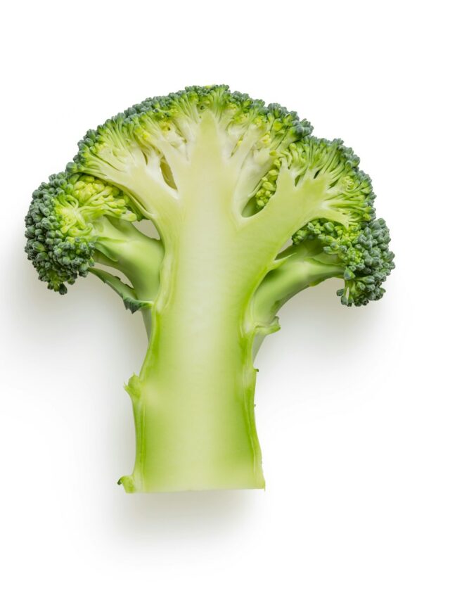 green broccoli on white background