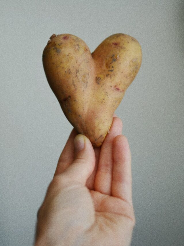 A person holding a heart shaped cookie in their hand