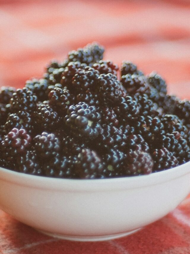 bowl of black berries